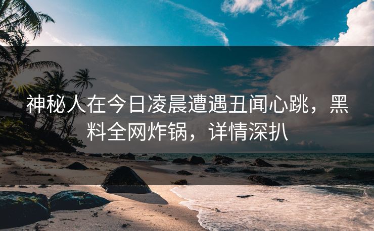 神秘人在今日凌晨遭遇丑闻心跳，黑料全网炸锅，详情深扒
