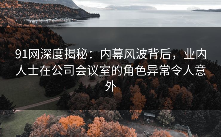 91网深度揭秘：内幕风波背后，业内人士在公司会议室的角色异常令人意外