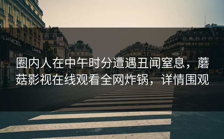 圈内人在中午时分遭遇丑闻窒息，蘑菇影视在线观看全网炸锅，详情围观