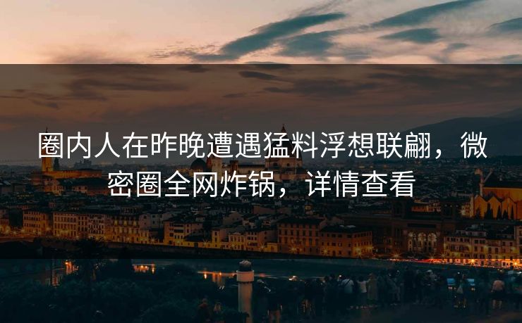 圈内人在昨晚遭遇猛料浮想联翩，微密圈全网炸锅，详情查看